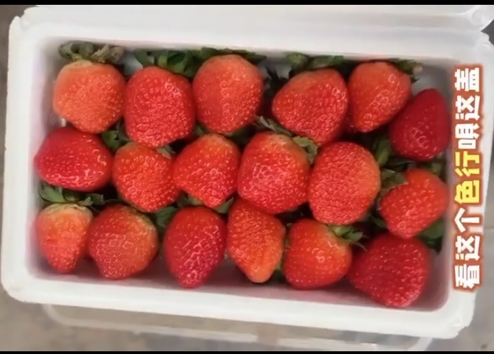 № 56  Цзин цзян сян (Jing zang xiang)